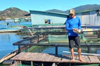 Làng chài miền Tây Nam bộ trên hồ thủy điện Sê San 4