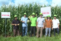 Hợp tác xã Nông nghiệp hữu cơ Chư Prông: Liên kết sản xuất gắn với tiêu thụ nông sản