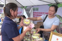 60 gian hàng tham gia hội chợ nông sản sạch an toàn huyện Đức Cơ