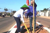 Chư Sê phát động Tết trồng cây “Đời đời nhớ ơn Bác Hồ”