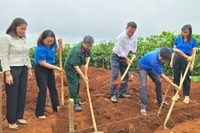 Cựu chiến binh thành phố Pleiku gương mẫu, trách nhiệm 