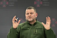 Ukraine biến đất nước mình thành cối xay thịt và bãi thử nghiệm vũ khí