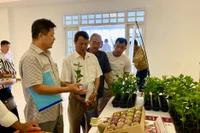 Tập đoàn Nafood giới thiệu giống chanh dây mới. Ảnh: Hà Duy