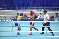 Gần 350 võ sĩ tranh tài ở Giải Vô địch Kickboxing toàn quốc 2024