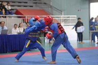 Hội khỏe Phù đổng tỉnh Gia Lai: Trao 35 bộ huy chương cho các võ sĩ có thành tích cao ở môn Vovinam