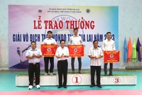 Pleiku giành giải nhất toàn đoàn tại Giải Vô địch Taekwondo tỉnh Gia Lai