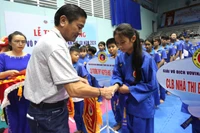 Hơn 300 võ sĩ tranh tài ở Giải Vô địch Vovinam tỉnh Gia Lai