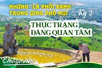 Những “lá phổi xanh” trong lòng Phố núi - Kỳ 2: Thực trạng đáng quan tâm