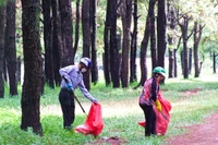 Phật tử Chùa Bửu Nghiêm dọn vệ sinh, thu gom rác khu vực Đồi thông