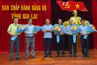 Gia Lai biểu dương 5 tổ chức cơ sở Đảng tiêu biểu tại các đơn vị kinh tế tư nhân 