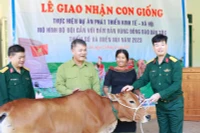 Trung đoàn Kinh tế- Quốc phòng 710: Hỗ trợ gần 1 tỷ đồng mua bò giống tặng người dân 