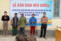 Hỗ trợ heo giống sinh sản cho hộ có hoàn cảnh khó khăn tại xã Đak Jơ Ta 