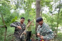 Đắk Lắk: Ngăn chặn tình trạng phá rừng, lấn chiếm đất lâm nghiệp