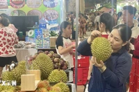 Du khách trong và ngoài tỉnh tham quan, mua sắm các đặc sản trái cây Long Khánh tại lễ hội.