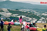 'Cơn sốt' check-in quán cà phê đẹp tại Đà Lạt