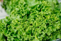 3 loại vitamin tốt nhất cho não
