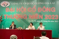 Chủ tịch Quốc Cường Gia Lai trả lời chất vấn cổ đông về nhiều vấn đề nóng