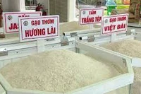 Giá gạo trong nước tiếp tục tăng