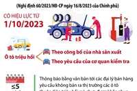 Các trường hợp ôtô thuộc diện phải triệu hồi từ 1/10