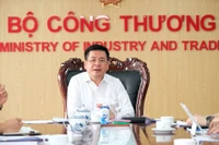 Bộ Công Thương lập đoàn thanh tra EVN, làm việc trong 30 ngày, kể cả ngày nghỉ 