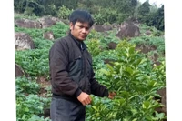 Cựu chiến binh An Khê năng động trong phát triển kinh tế