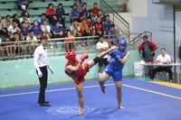 Cơ hội để Wushu tìm lại vị thế