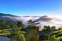 Đại ngàn vẫy gọi