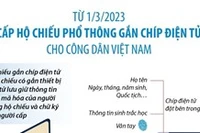 Từ 1/3, cấp Hộ chiếu phổ thông gắn chíp điện tử cho công dân Việt Nam