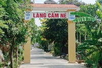 Nỗi buồn làng chiếu