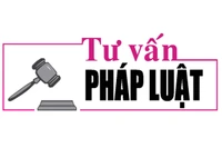 Luật sư Bùi Thanh Vũ tư vấn pháp luật về hành vi hút thuốc gây cháy rừng sản xuất