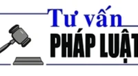 Luật sư Bùi Thanh Vũ tư vấn pháp luật về lối đi qua phần đất của người khác