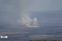 Mỹ lo ngại xảy ra một cuộc chiến tranh tổng lực giữa Israel và Hezbollah