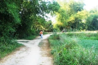 Con đường về làng