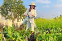 Cô gái chi 300 triệu đồng biến khu vườn đẹp tựa các đồng quê ở châu Âu