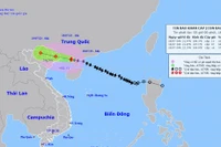 Cơn bão số 1: Gió giật cấp 14, cách Móng Cái khoảng 140km