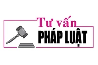 Luật sư Bùi Thanh Vũ tư vấn