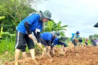 Yêu Tổ quốc theo cách riêng của giới trẻ