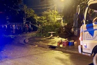 Cây si đè chết 1 người đang trú mưa ở TP Thủ Đức