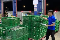 Đưa hàng trăm tấn rau củ quả, thịt heo... tiếp ứng vùng lũ miền Bắc mỗi ngày