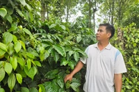 Cán bộ thôn hết lòng vì cộng đồng