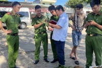 Kon Tum yêu cầu kiểm tra, xác minh lô hàng củ, lá giống sâm Ngọc Linh