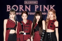 Đề nghị dừng chương trình biểu diễn của Blackpink nếu không thực hiện nghĩa vụ bản quyền