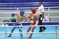 Sôi động võ đài Kickboxing