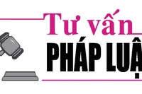 Luật sư Bùi Thanh Vũ tư vấn pháp luật về vi phạm Luật Giao thông đường bộ