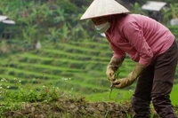Tự giác… thoát nghèo