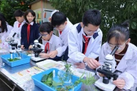 Nâng cao chất lượng các bài học STEM
