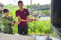 Tạm giữ 3 đối tượng trộm cắp khung nhôm tại hơn 100 ngôi mộ tại Nghĩa trang TP.Pleiku