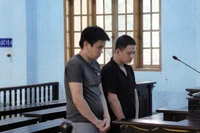 Tàng trữ trái phép vũ khí quân dụng, 2 đối tượng lãnh án