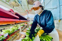 Đóng gói sản phẩm chuối xuất khẩu tại Công ty cổ phần Nông nghiệp công nghệ cao Hưng Sơn (huyện Đak Đoa)