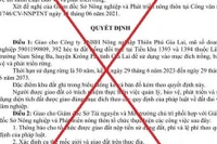 Quyết định giả mạo UBND tỉnh Gia Lai về việc giao đất trồng rừng